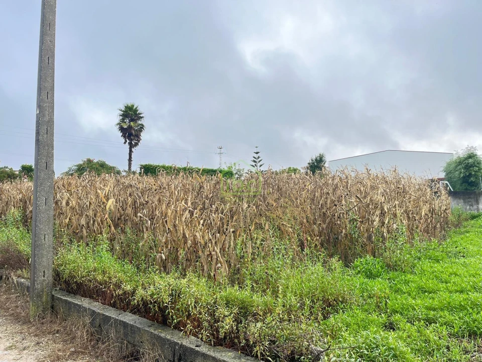 Terreno para Venda em Aver-O-Mar, Amorim e Terroso Foto 3