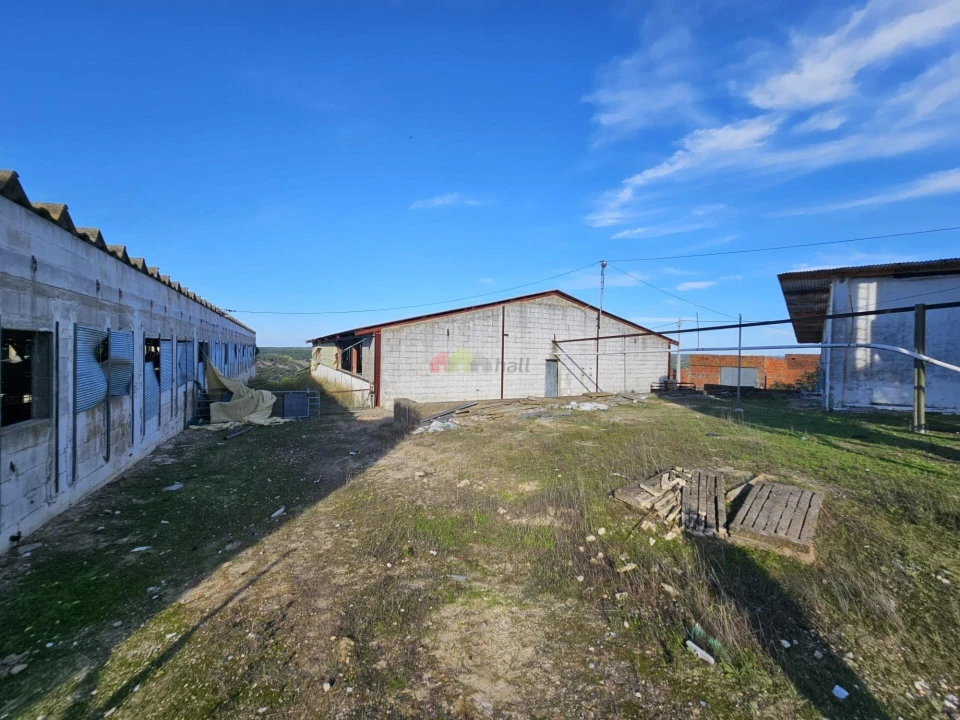 Terreno para Venda em Brotas Foto 16