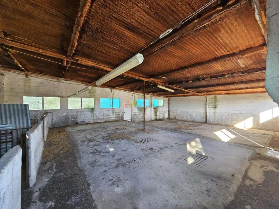 Terreno para Venda em Brotas Foto 5