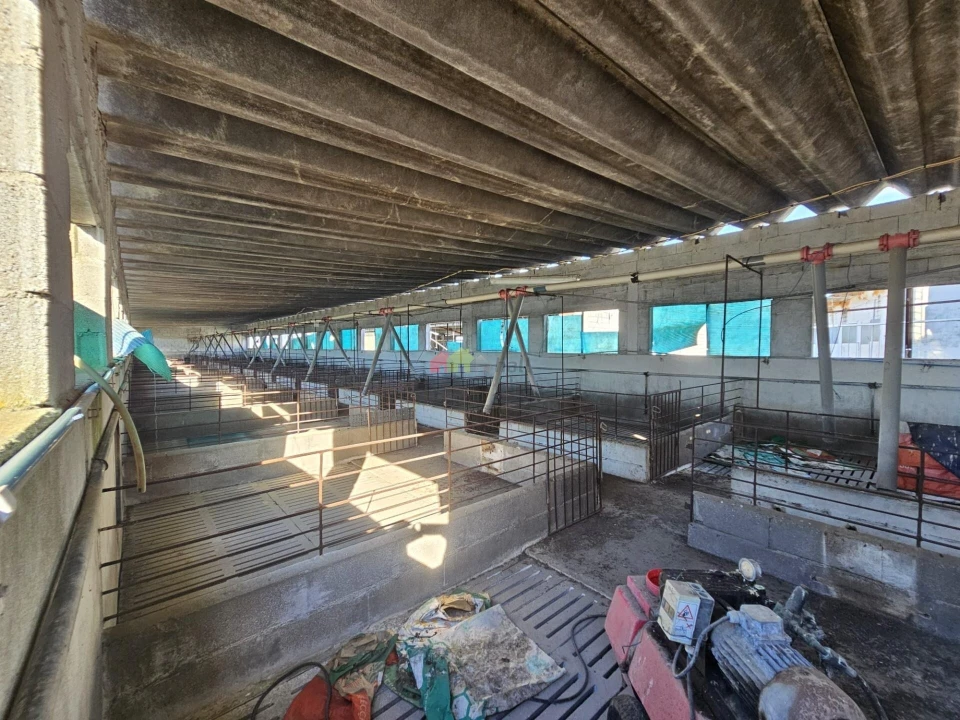 Terreno para Venda em Brotas Foto 14