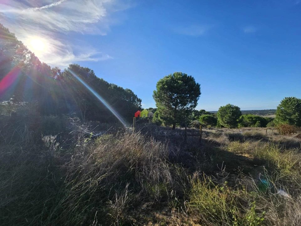 Terreno para Venda em Brotas Foto 27