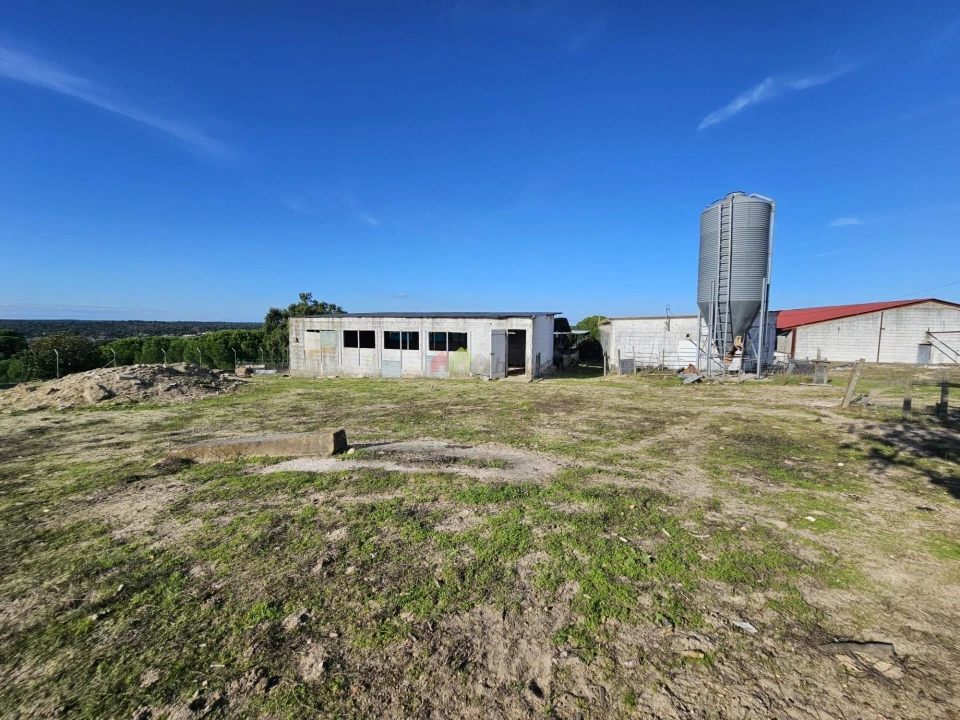 Terreno para Venda em Brotas Foto 10