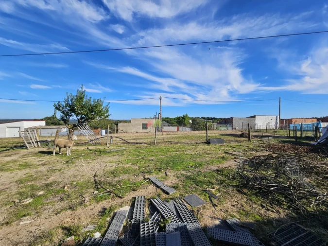 Terreno para Venda em Brotas Foto 7