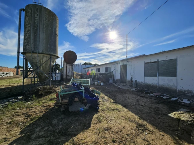 Terreno para Venda em Brotas Foto 3