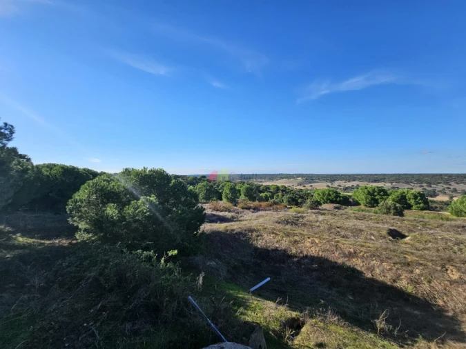 Terreno para Venda em Brotas Foto 24