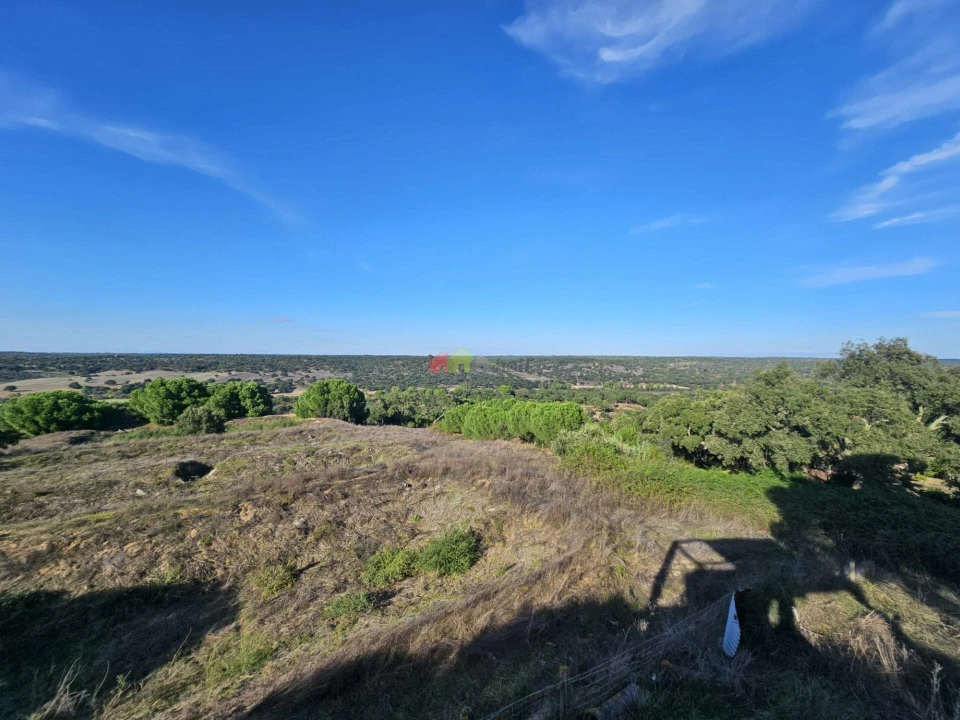 Terreno para Venda em Brotas Foto 22