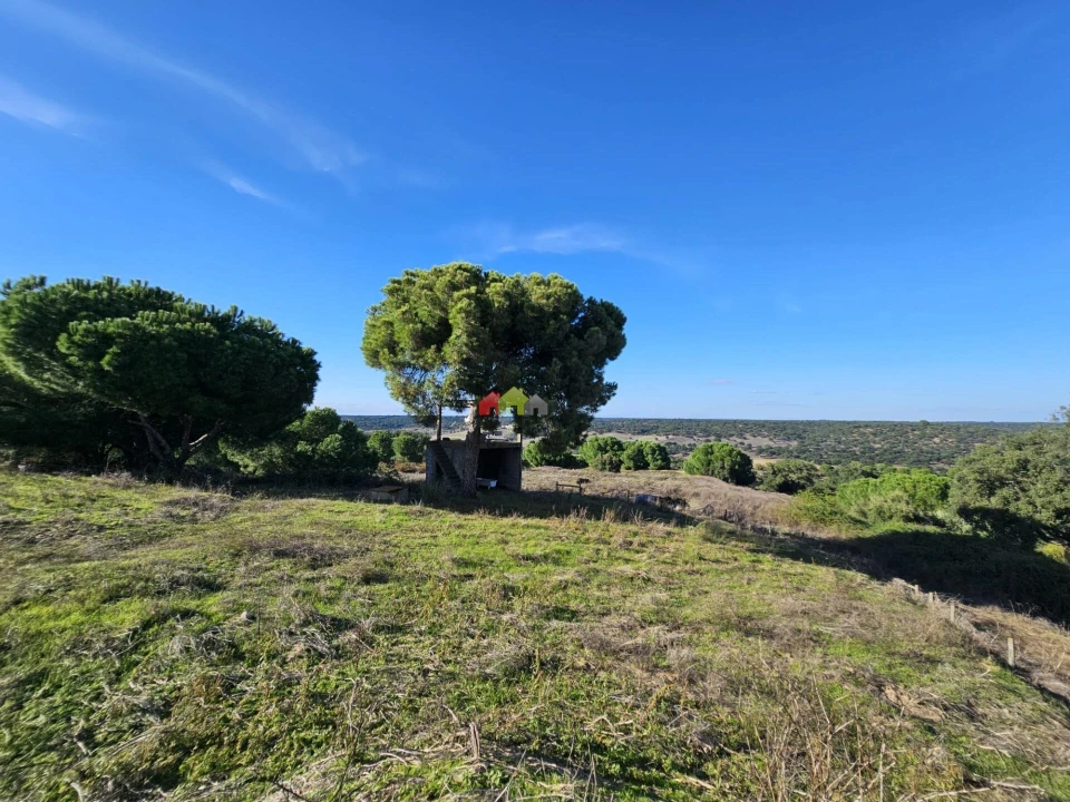 Terreno para Venda em Brotas Foto 19