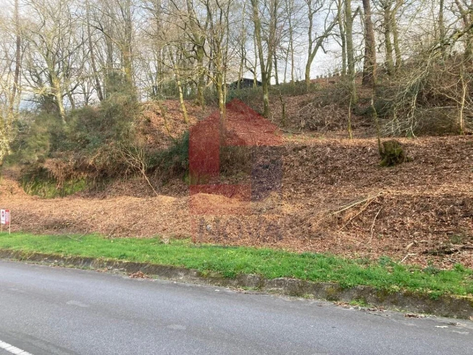 Terreno para Venda em Souto Foto 8