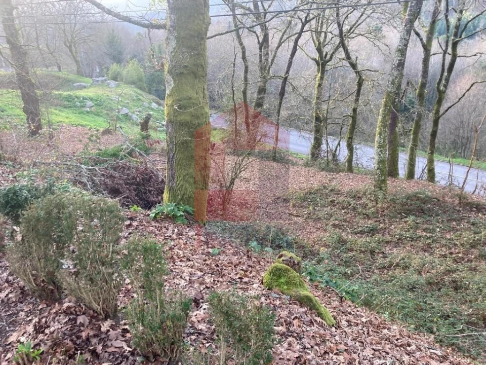 Terreno para Venda em Souto Foto 19