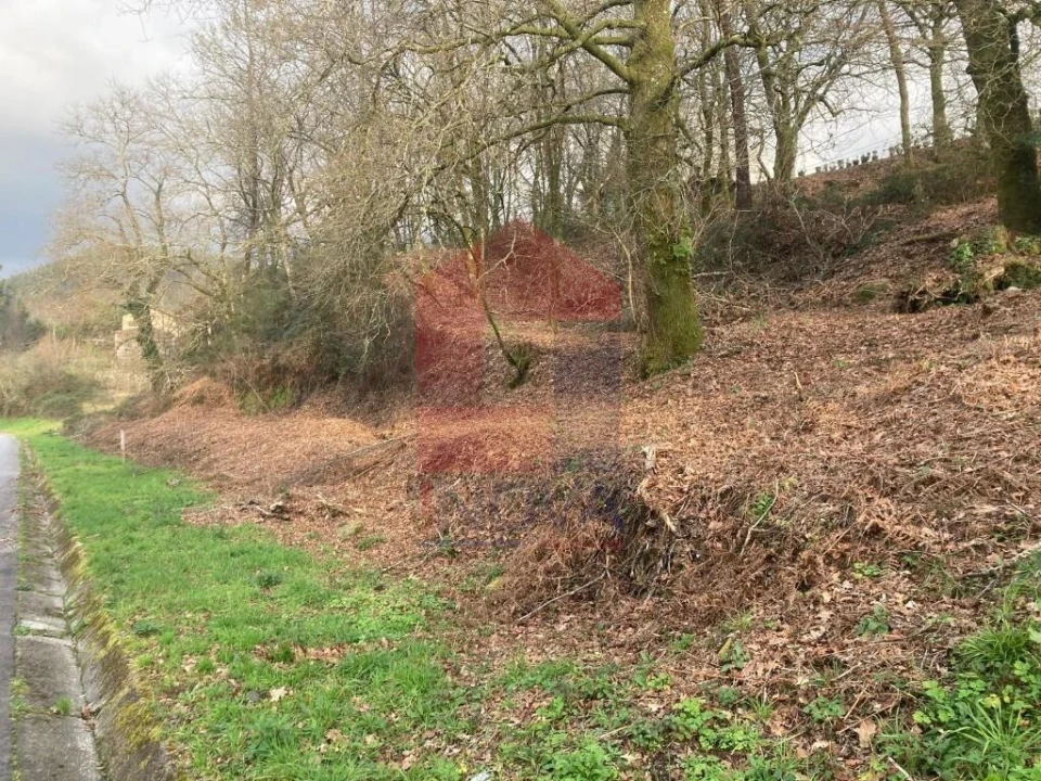 Terreno para Venda em Souto Foto 18