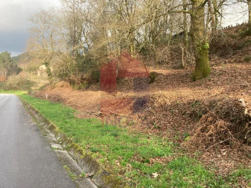 Terreno para Venda em Souto Foto 9