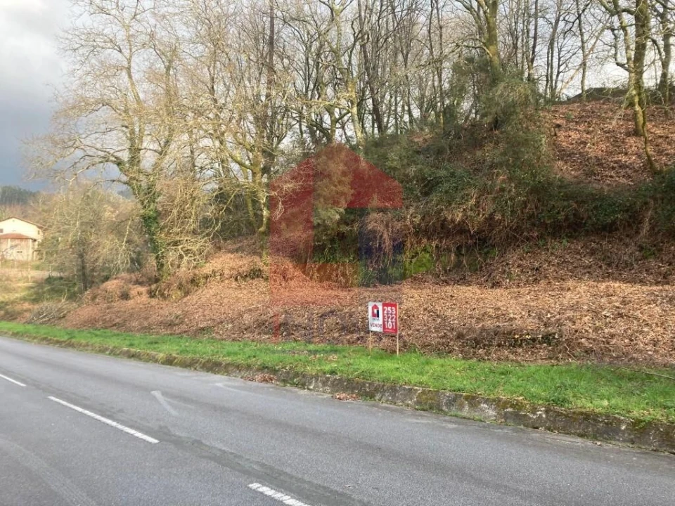 Terreno para Venda em Souto Foto 7