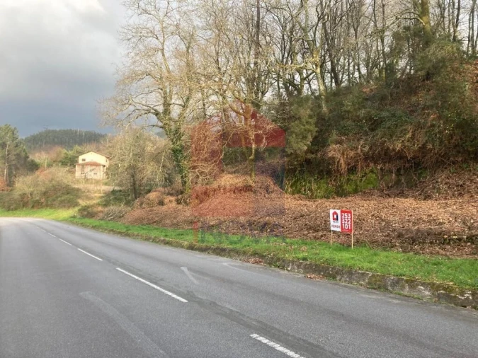 Terreno para Venda em Souto Foto 13