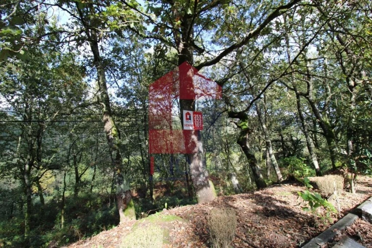 Terreno para Venda em Souto Foto 31