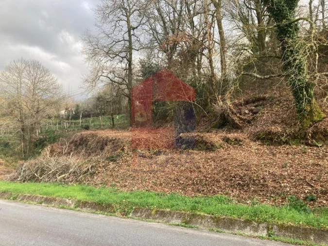 Terreno para Venda em Souto Foto 10