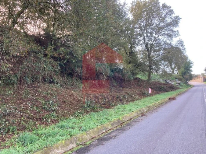 Terreno para Venda em Souto Foto 14