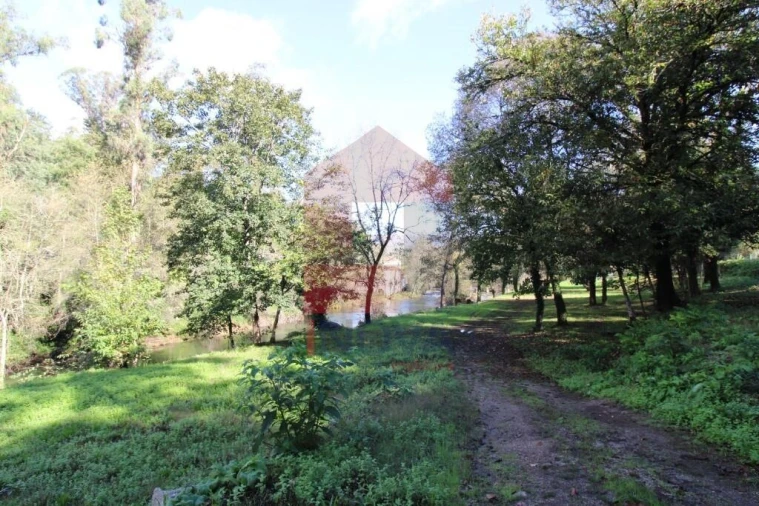 Terreno para Venda em Souto Foto 46