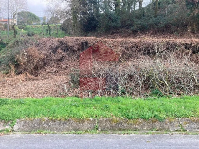 Terreno para Venda em Souto Foto 11