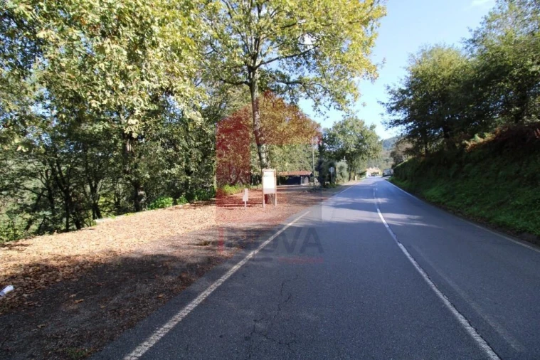 Terreno para Venda em Souto Foto 43