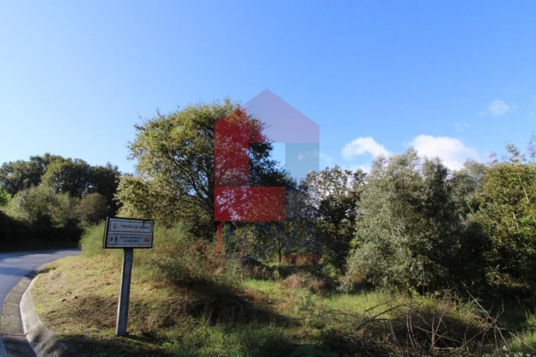 Terreno para Venda em Souto Foto 27