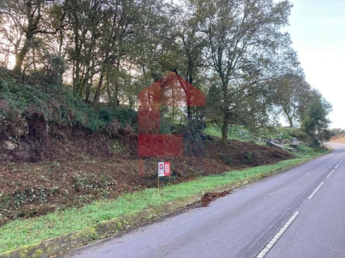 Terreno para Venda em Souto Foto 1