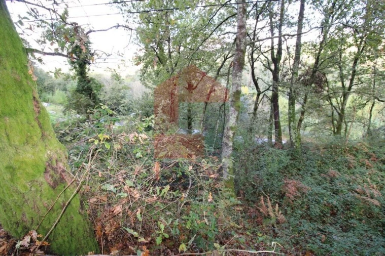 Terreno para Venda em Souto Foto 34