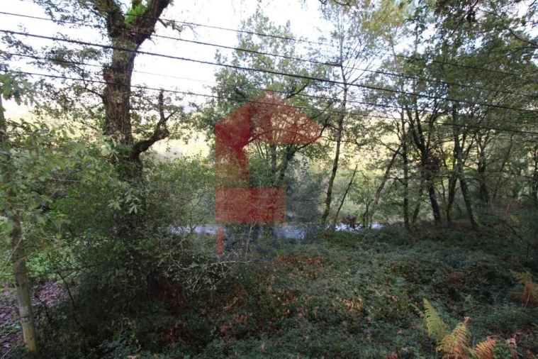 Terreno para Venda em Souto Foto 37