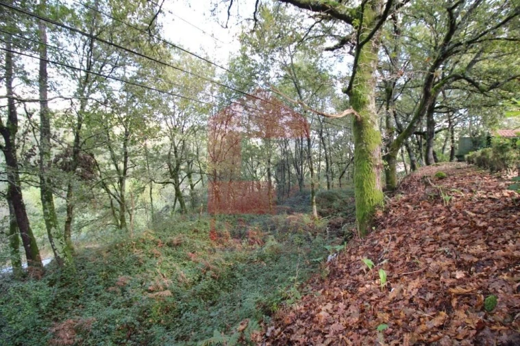 Terreno para Venda em Souto Foto 32