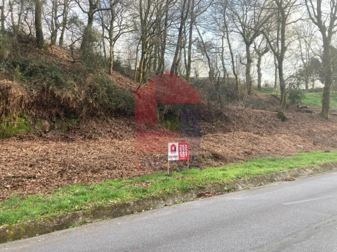 Terreno para Venda em Souto Foto 16