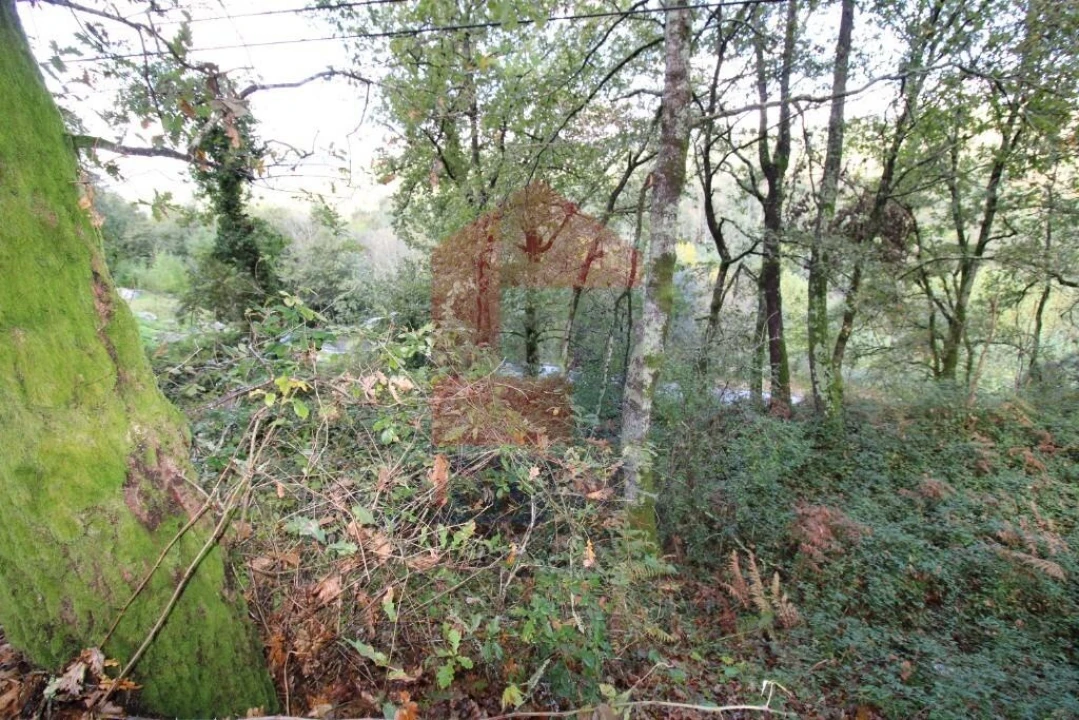 Terreno para Venda em Souto Foto 34