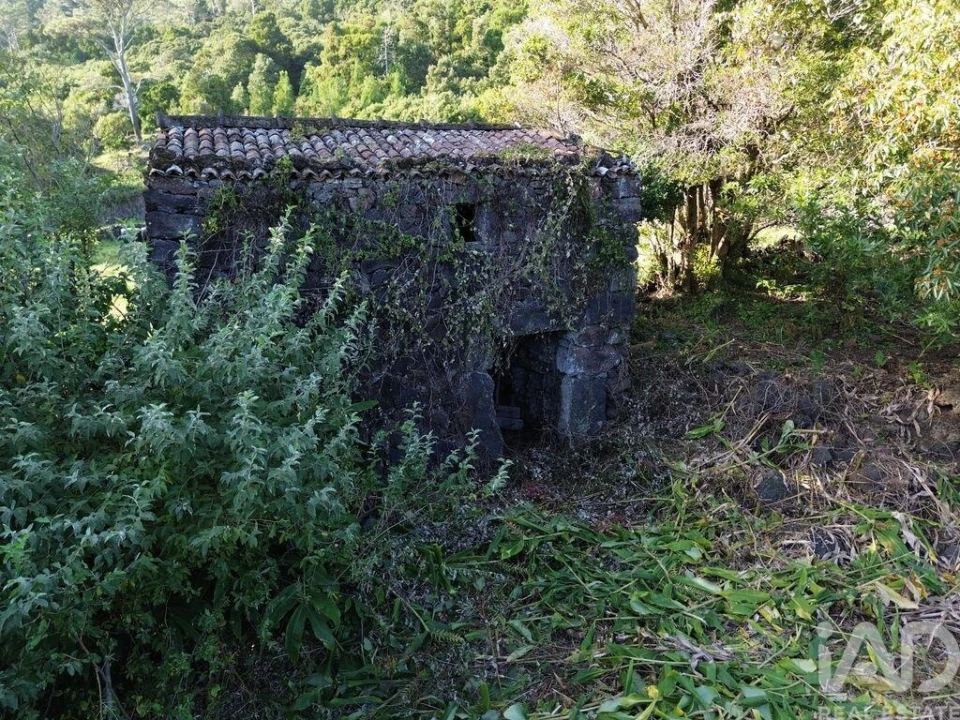 Moradia para Venda em Ribeiras Foto 11