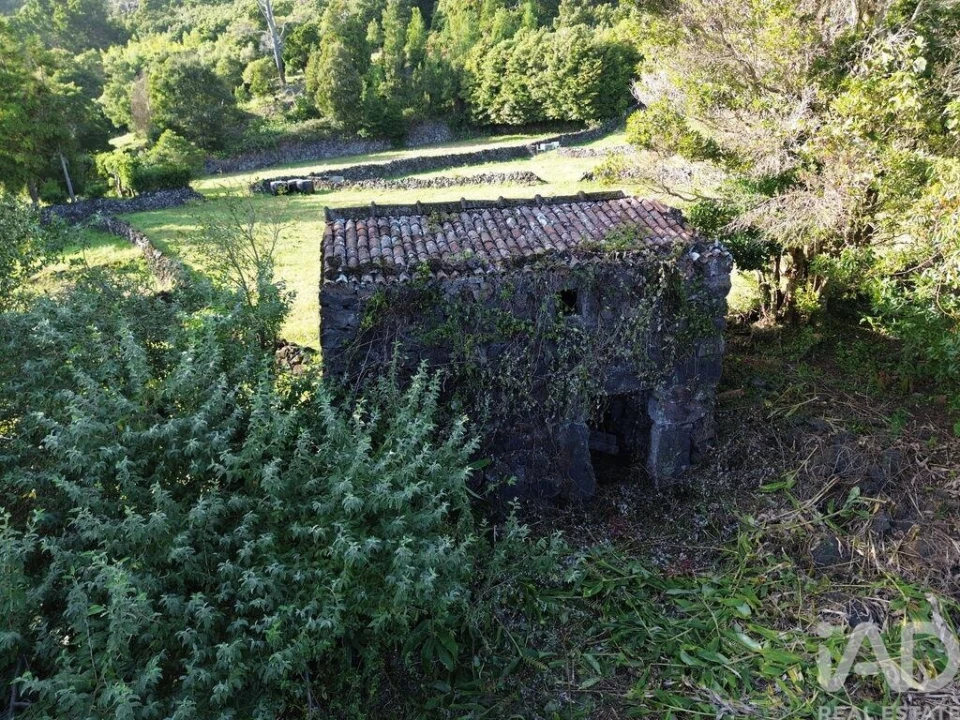 Moradia para Venda em Ribeiras Foto 12
