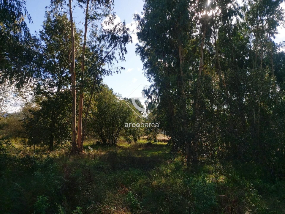 Terreno para Venda em Arcozelo Foto 11