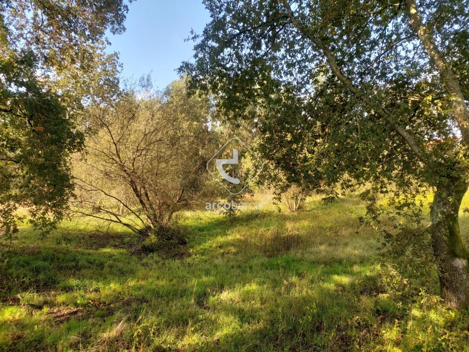 Terreno para Venda em Arcozelo Foto 4
