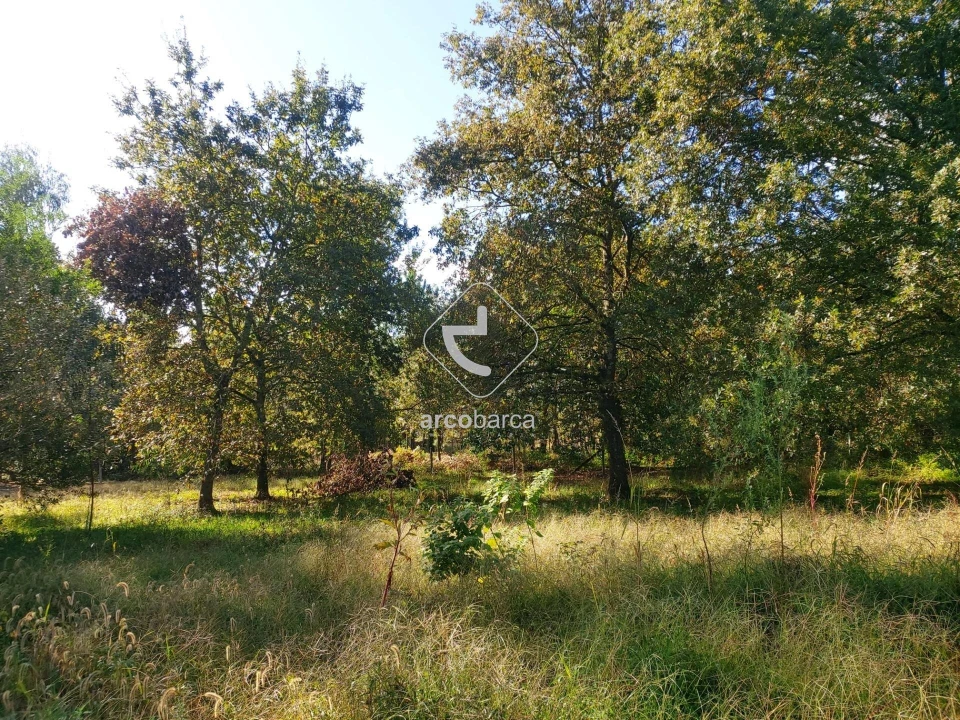 Terreno para Venda em Arcozelo Foto 12