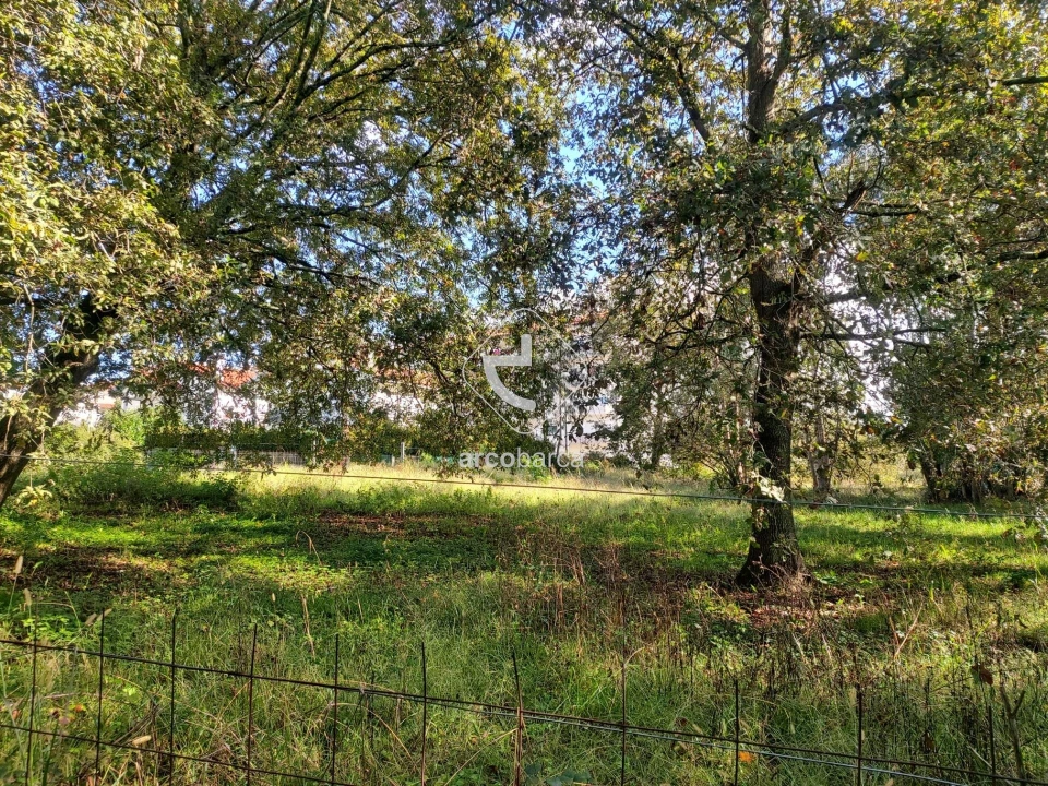 Terreno para Venda em Arcozelo Foto 8