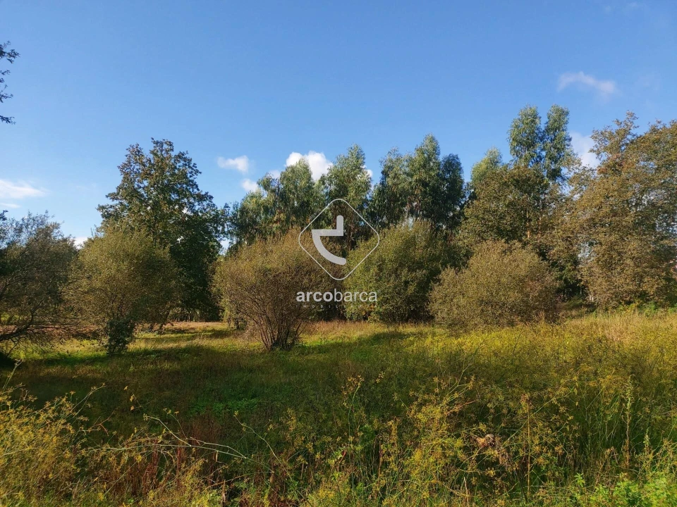 Terreno para Venda em Arcozelo Foto 2