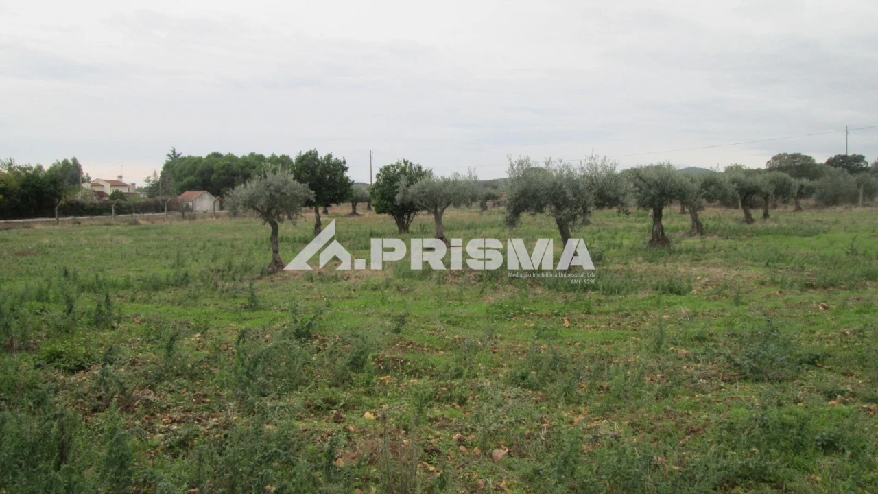 Moradia T4 para Venda em Monfortinho e Salvaterra do Extremo Foto 27