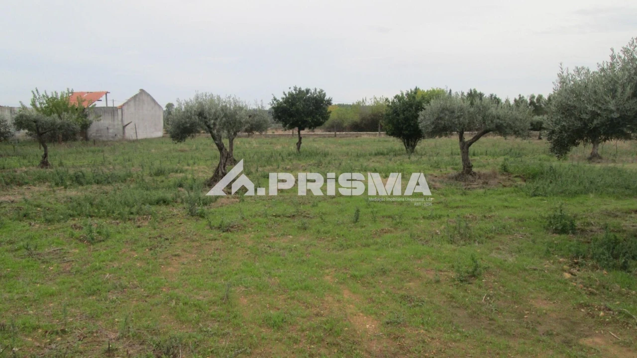 Moradia T4 para Venda em Monfortinho e Salvaterra do Extremo Foto 29