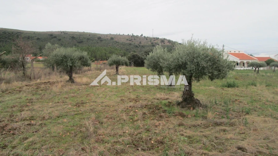 Moradia T4 para Venda em Monfortinho e Salvaterra do Extremo Foto 36