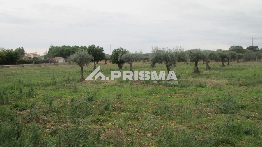 Moradia T4 para Venda em Monfortinho e Salvaterra do Extremo Foto 27