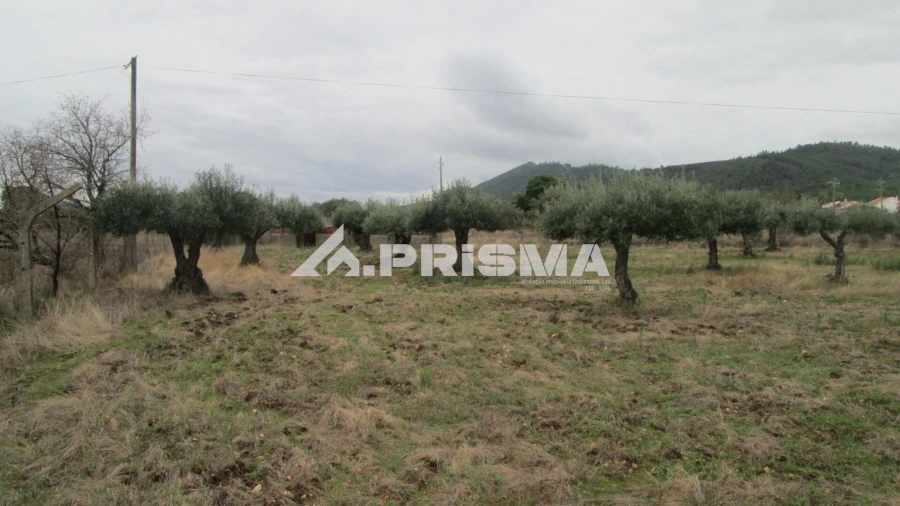 Moradia T4 para Venda em Monfortinho e Salvaterra do Extremo Foto 38