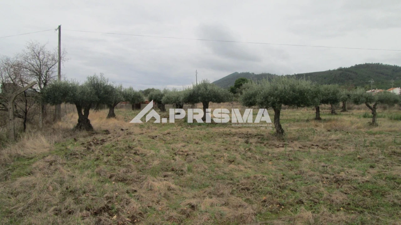 Moradia T4 para Venda em Monfortinho e Salvaterra do Extremo Foto 38