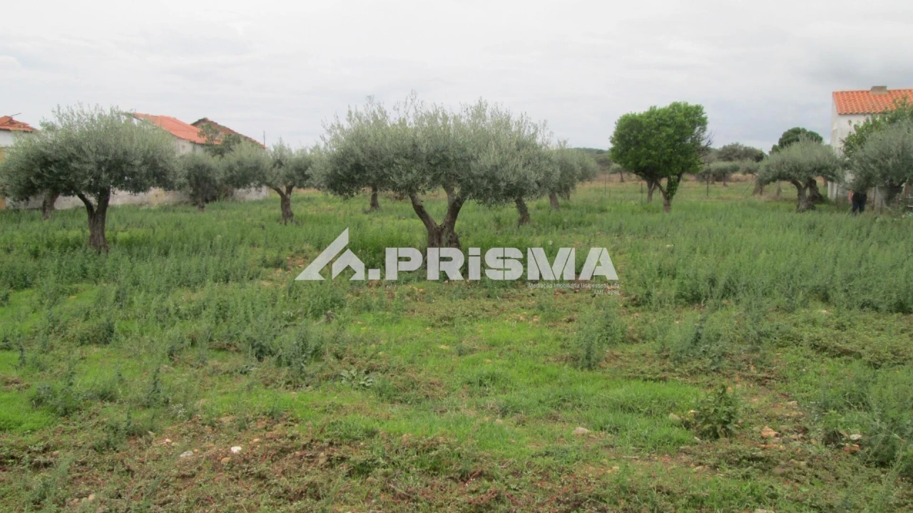 Moradia T4 para Venda em Monfortinho e Salvaterra do Extremo Foto 46