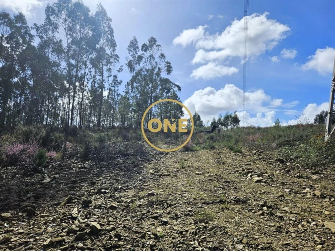 Terreno para Venda em Balazar Foto 5