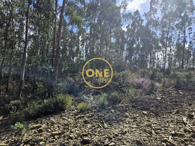 Terreno para Venda em Balazar Foto 6