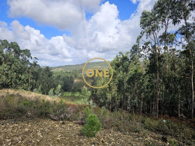 Terreno para Venda em Balazar Foto 7