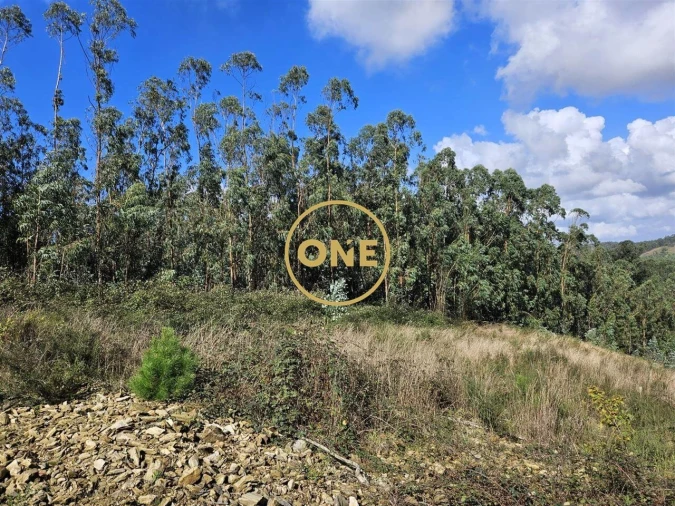 Terreno para Venda em Balazar Foto 2