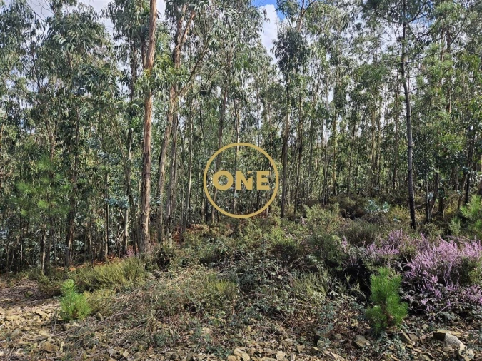 Terreno para Venda em Balazar Foto 8