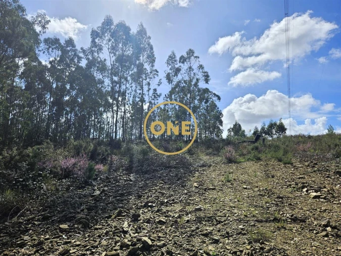 Terreno para Venda em Balazar Foto 4